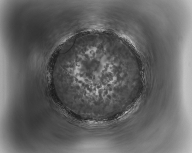 X0000096491159200801241458