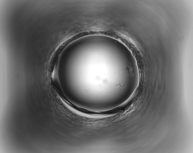X0000096491160200801241458