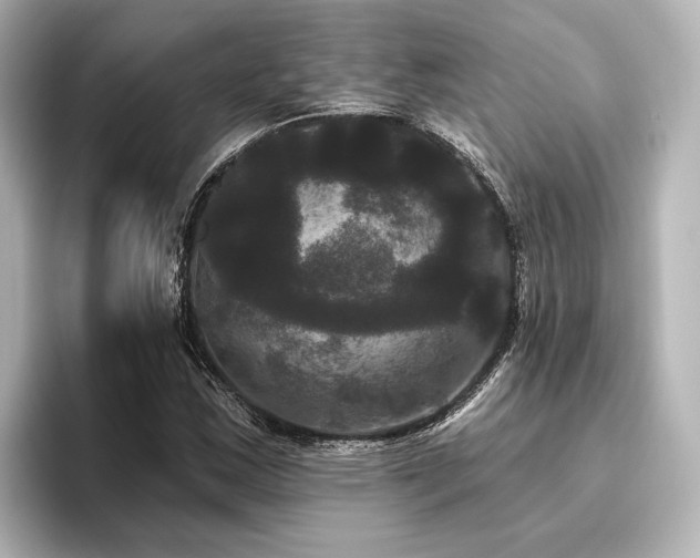 X0000096491163200801241458
