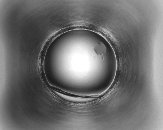 X0000096491164200801241458