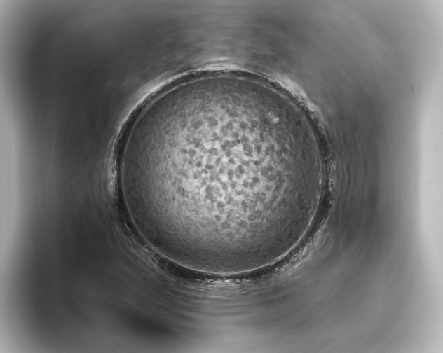 X0000096491167200801241458