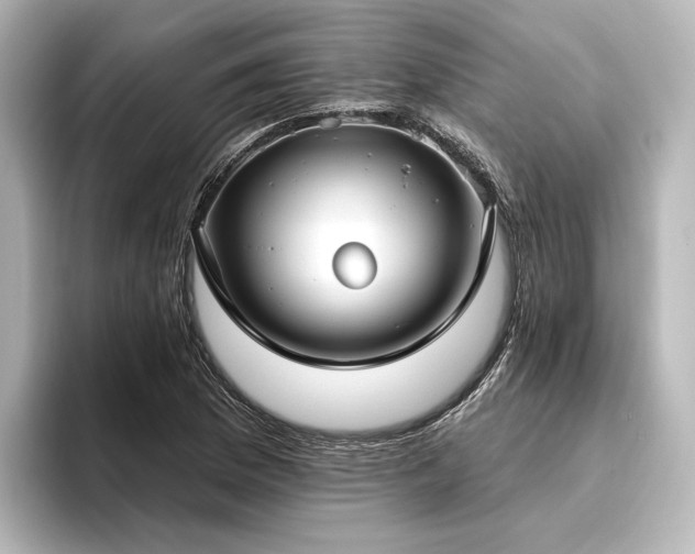 X0000096491169200801241458