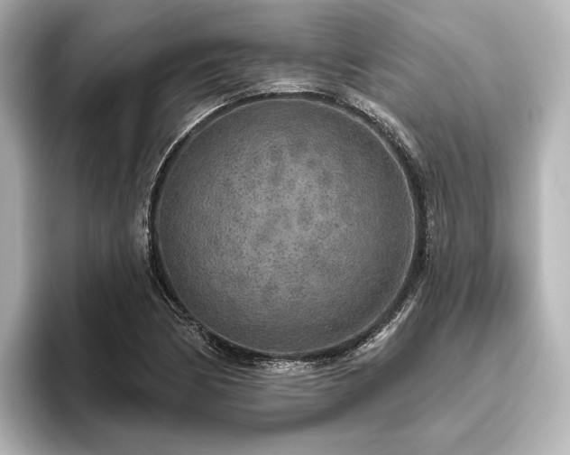 X0000096491170200801241458