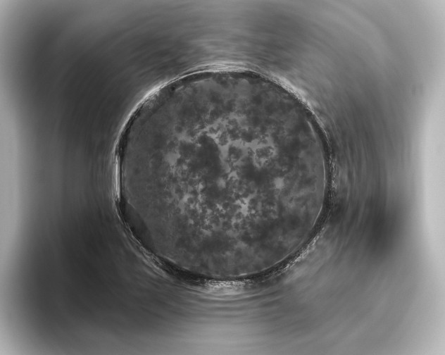 X0000096491171200801241458
