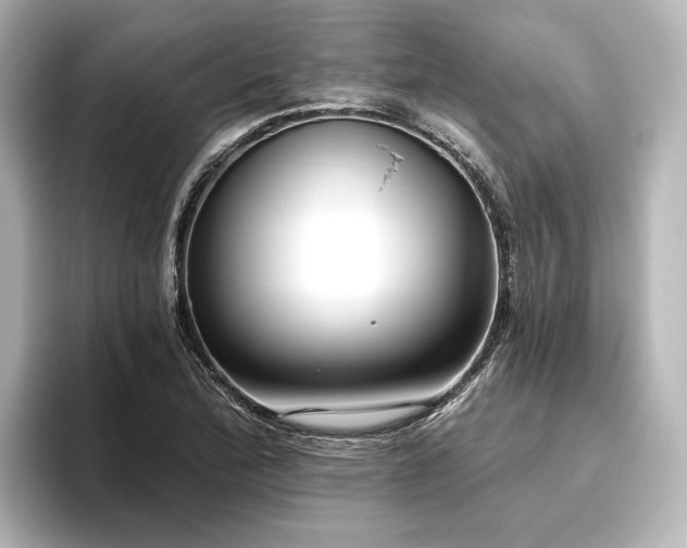 X0000096491172200801241458