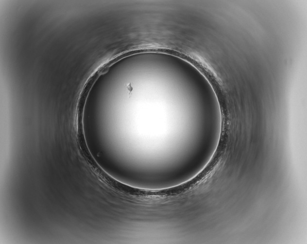 X0000096491173200801241458