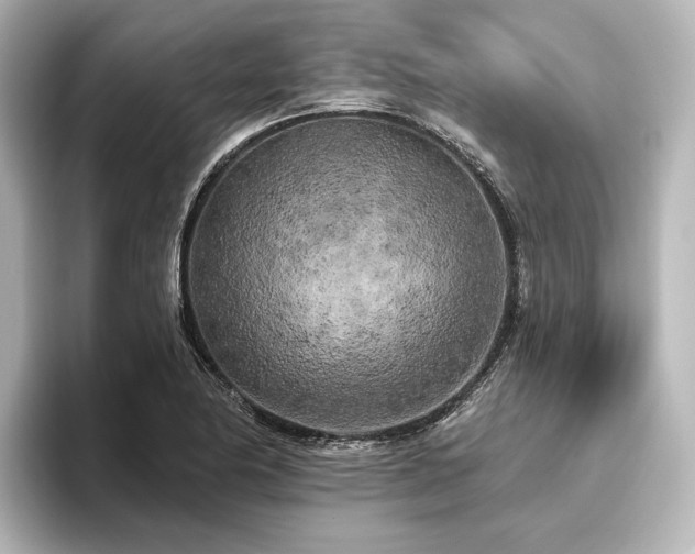 X0000096491174200801241458