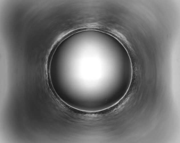 X0000096491176200801241458