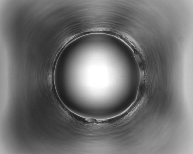 X0000096491177200801241458