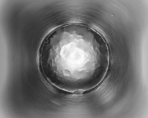X0000096491179200801241458