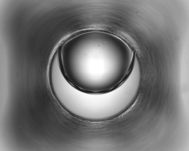 X0000096491180200801241458