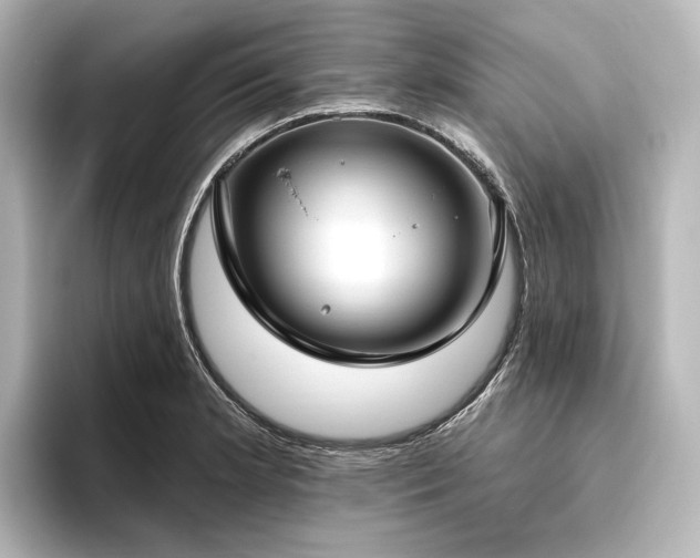 X0000096491181200801241458
