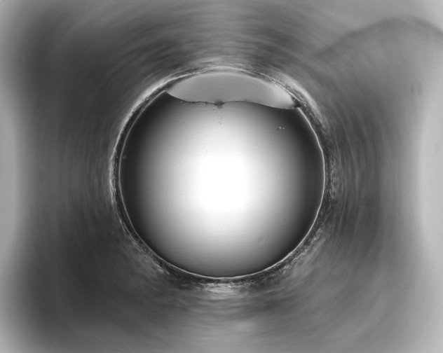 X0000096491182200801241458