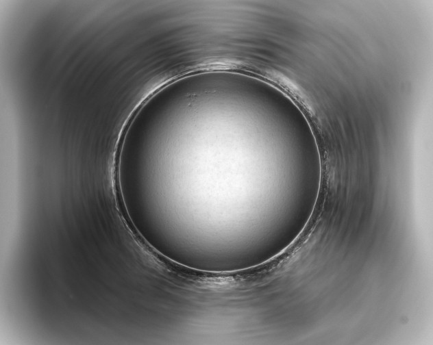 X0000096491186200801241458