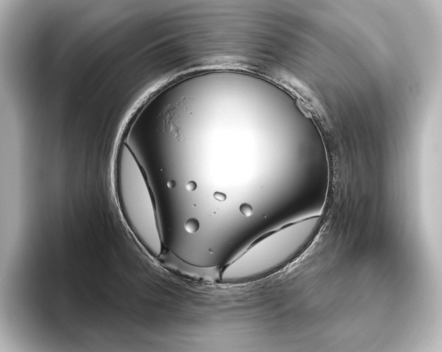 X0000096491188200801241458