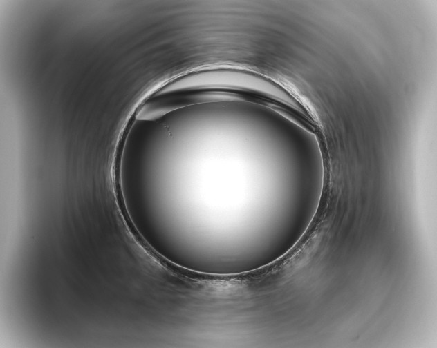 X0000096491189200801241458