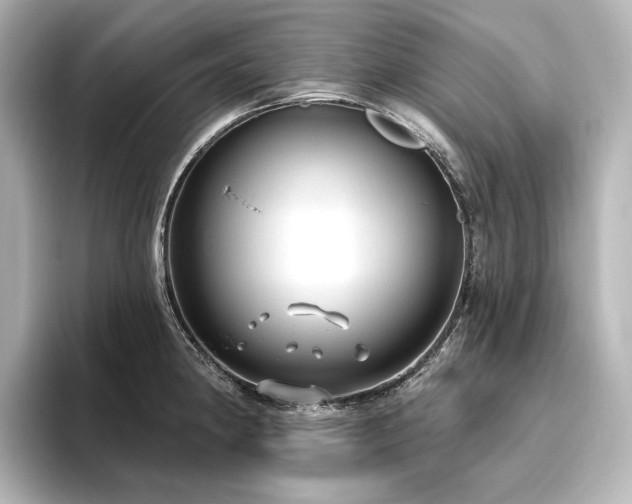 X0000096491190200801241458