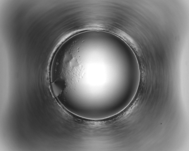 X0000096491192200801241458