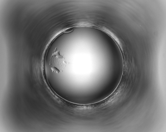 X0000096491195200801241458