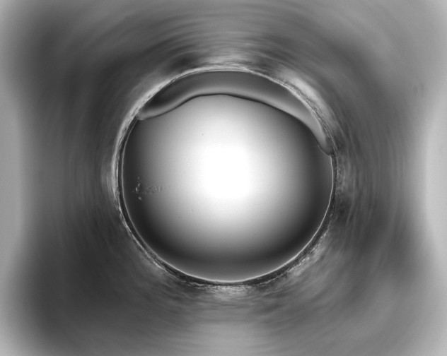 X0000096491196200801241458