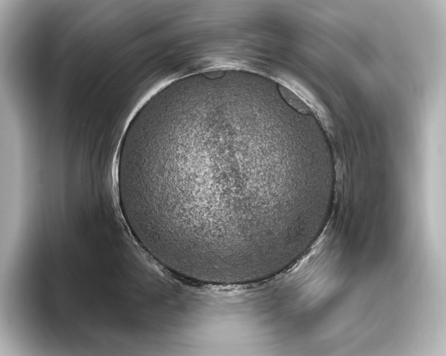 X0000096491198200801241458