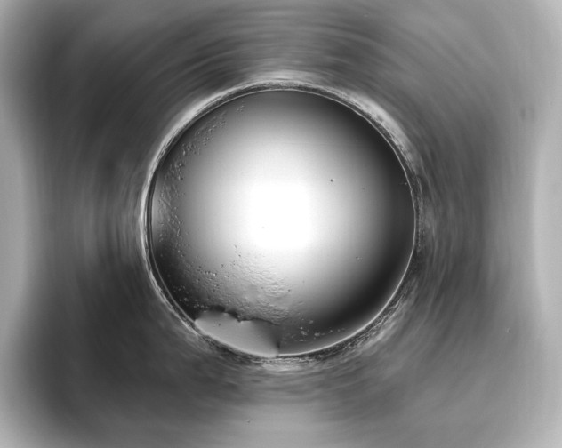 X0000096491199200801241458