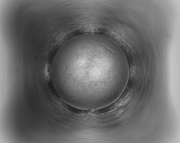 X0000096491202200801241457
