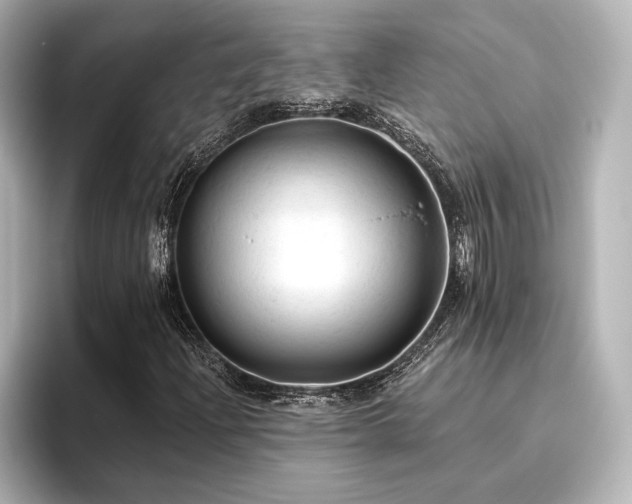 X0000096491204200801241457