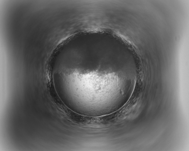 X0000096491206200801241457