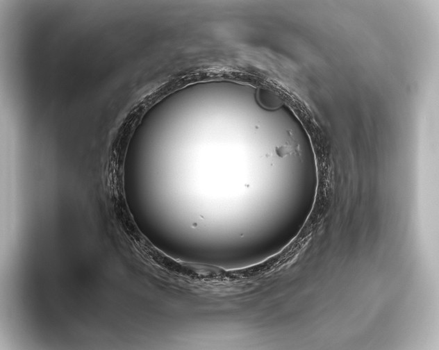 X0000096491207200801241457