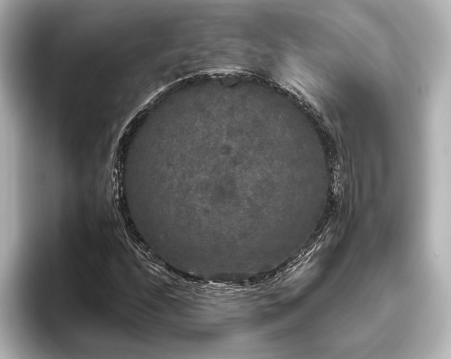 X0000096491208200801241457
