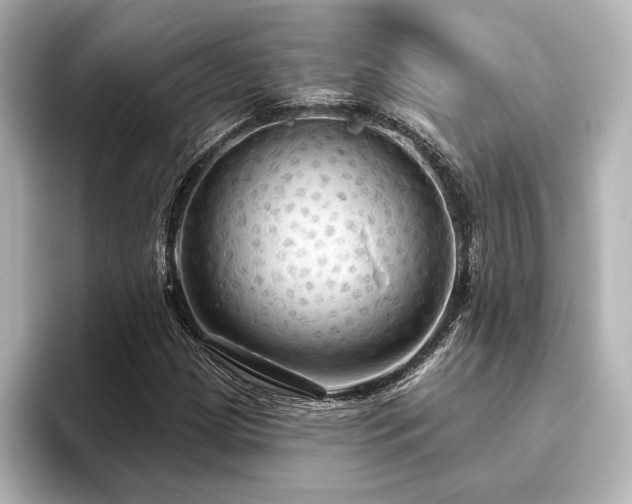 X0000096491209200801241457