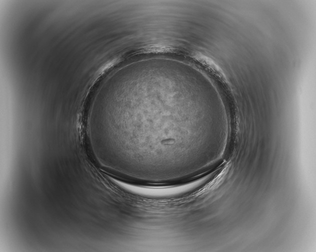 X0000096491210200801241457