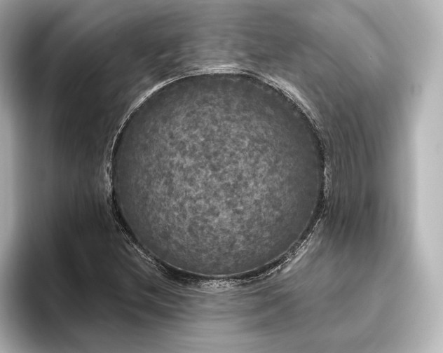 X0000096491212200801241457