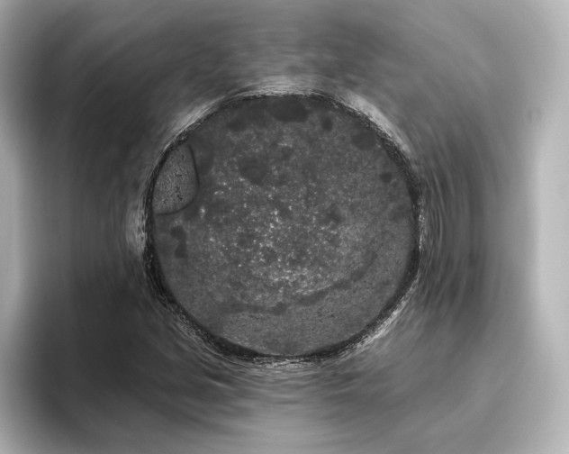 X0000096491213200801241457