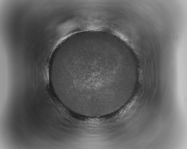 X0000096491214200801241458