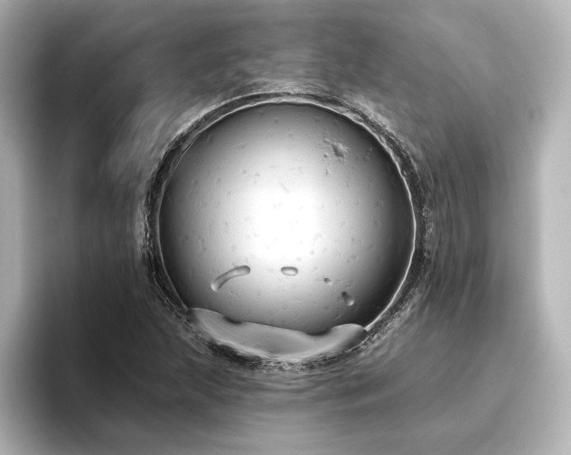 X0000096491215200801241458