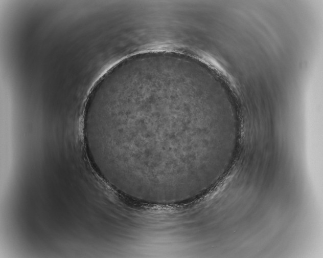 X0000096491216200801241458