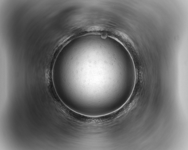 X0000096491217200801241458