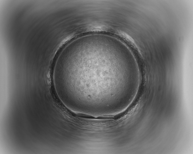 X0000096491218200801241458