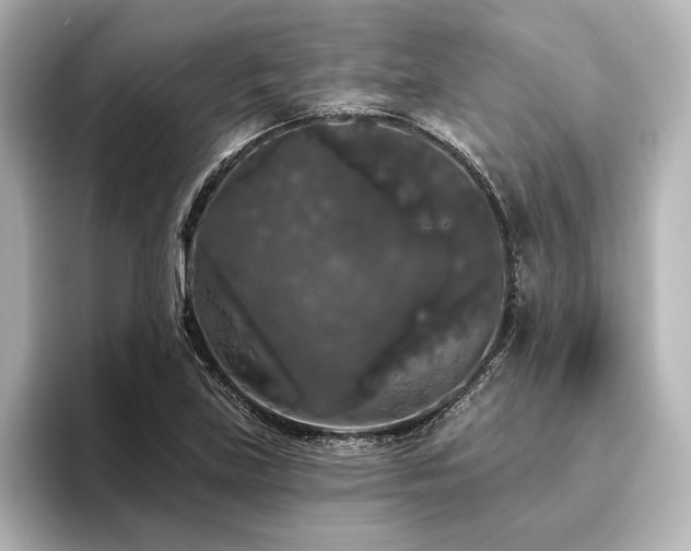 X0000096491219200801241458