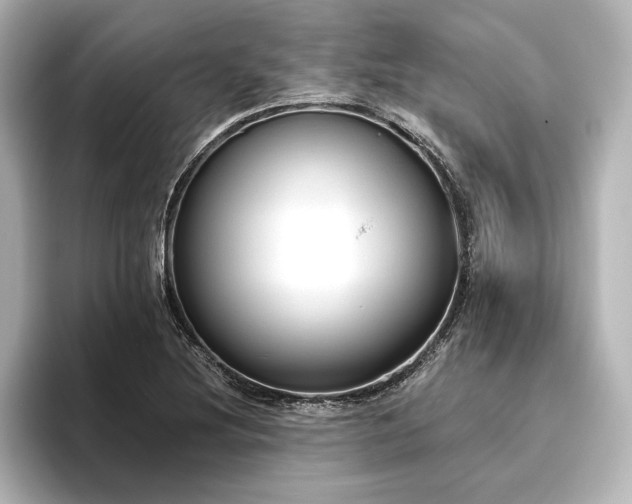 X0000096491220200801241458