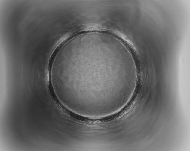 X0000096491221200801241458