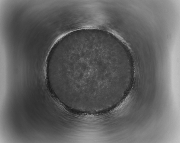 X0000096491222200801241458