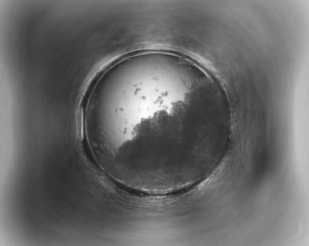 X0000096491223200801241458