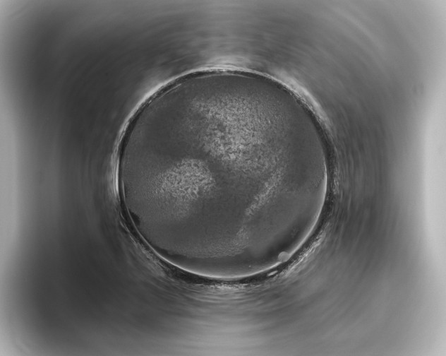 X0000096491224200801241458