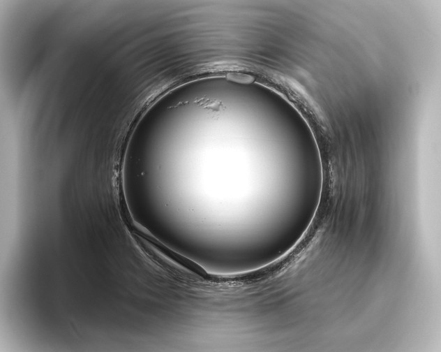 X0000096491225200801241458