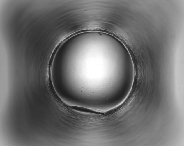 X0000096491226200801241458