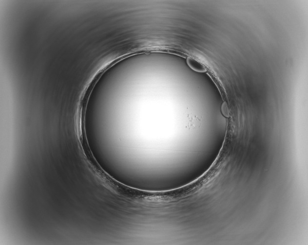 X0000096491227200801241458