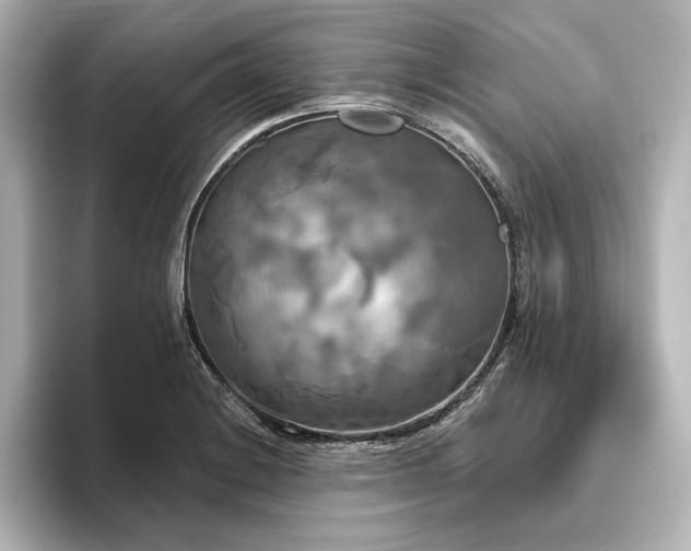 X0000096491228200801241458